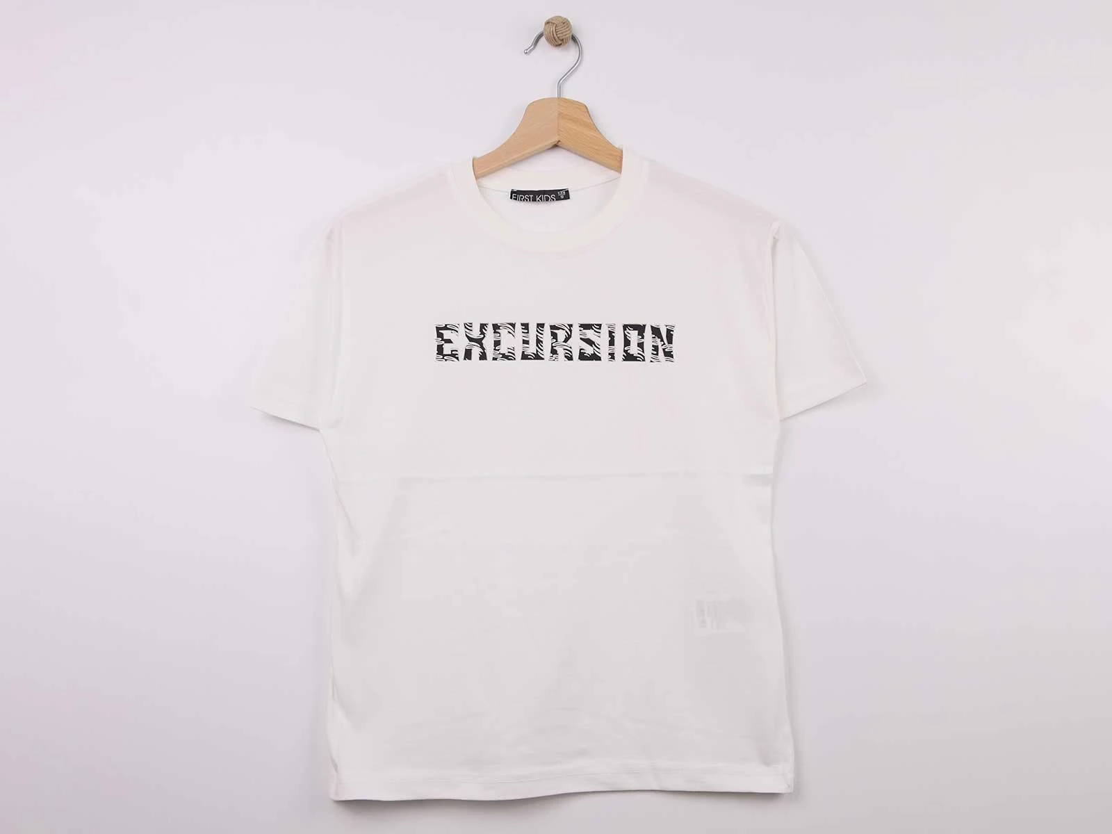 Excursıon Baskılı Erkek Tişört 