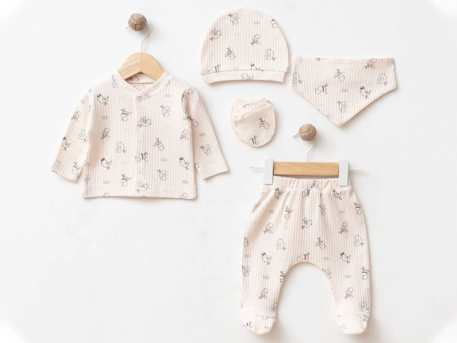 Kuş Desenli Erkek Bebe Hastane Çıkışı Beşli Set 