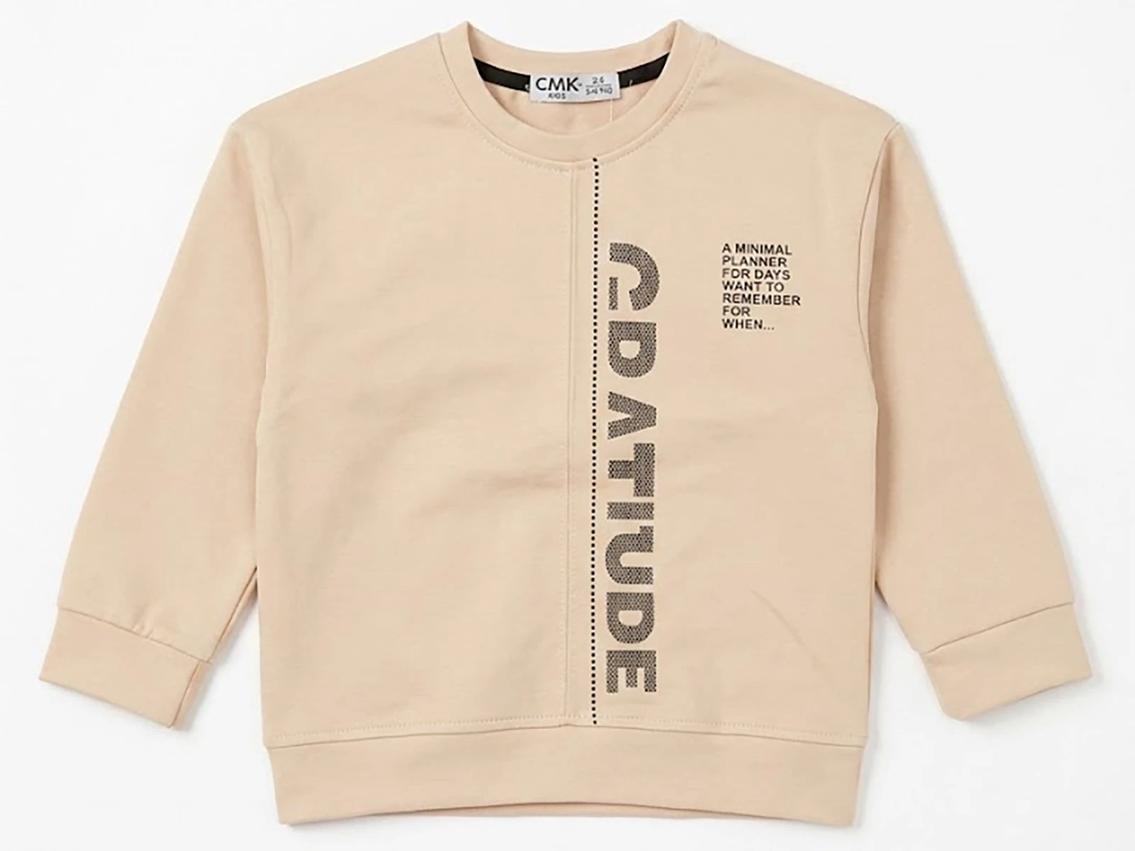 Minimal Baskılı Erkek Sweat 