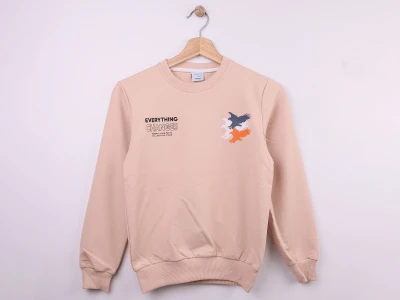 Toptan WENGE KİDS Changes Baskılı Erkek Sweat  BEJ - Beniz Bebe