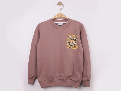 Toptan WENGE KİDS Dino Baskılı 2 İp Erkek Sweat  KAHVERENGİ - Beniz Bebe