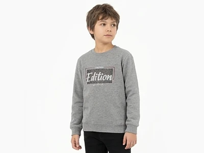 Toptan TANEM KİDS Edition Baskılı Erkek Çocuk Sweat GRİ - Beniz Bebe