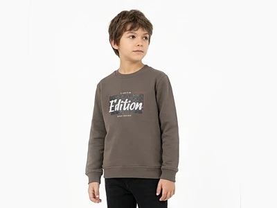 Toptan TANEM KİDS Edition Baskılı Erkek Çocuk Sweat KAHVERENGİ - Beniz Bebe
