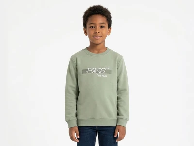 Toptan TANEM KİDS Forget Baskılı Şardonlu 3 İp Erkek Çocuk Sweat YEŞİL - Beniz Bebe