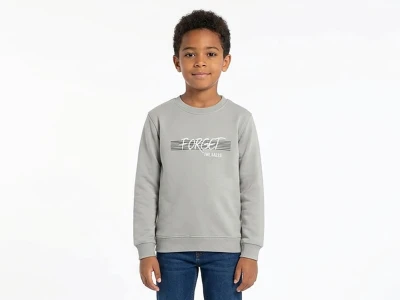 Toptan TANEM KİDS Forget Baskılı Şardonlu 3 İp Erkek Çocuk Sweat GRİ - Beniz Bebe