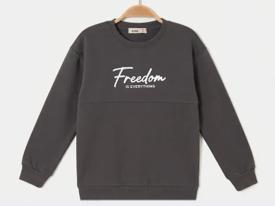 Toptan RUHAT KİDS Freedom Baskılı 3 İp Şardonlu Erkek Sweat  FÜME - Beniz Bebe