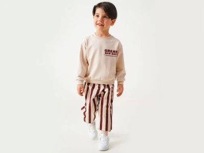 Toptan POYRAZ Great Baskılı Çizgili Erkek Takım  MÜRDÜM - Beniz Bebe