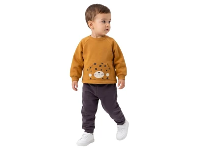 Toptan VOVİDO Kaplan Baskılı Şardonlu 3 İp Erkek Bebek Takım - Toptan Çocuk Giyim Beniz Kids