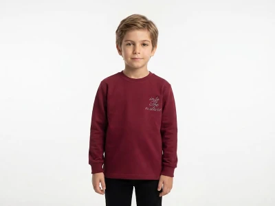 Toptan TANEM KİDS Nature Baskılı Erkek Sweat  BORDO - Beniz Bebe