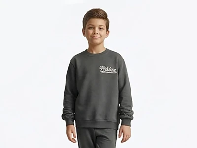 Toptan TANEM KİDS Prblines Baskılı Şardonlu 3'İp Erkek Çocuk Sweat FÜME - Beniz Bebe