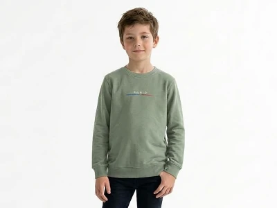 Toptan TANEM KİDS Paris Baskılı Şardonlu 3 İp Erkek Çocuk Sweat - Toptan Çocuk Giyim Beniz Kids