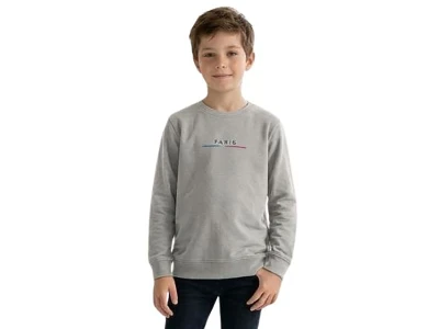 Toptan TANEM KİDS Paris Baskılı Şardonlu 3 İp Erkek Çocuk Sweat - Toptan Çocuk Giyim Beniz Kids