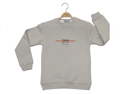 Toptan TANEM KİDS Style Baskılı Şardonlu 3 İp Erkek Sweat GRİ - Beniz Bebe