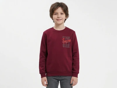 Toptan WENGE KİDS The Future Baskılı Şardonlu 3 İp Erkek Çocuk Takım BORDO - Beniz Bebe