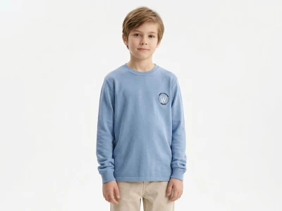 Toptan TANEM KİDS W Nakışlı Şardonlu 3 İp Erkek Çocuk Sweat MAVİ - Beniz Bebe