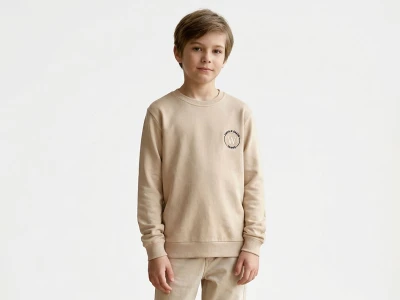 Toptan TANEM KİDS W Nakışlı Şardonlu 3 İp Erkek Çocuk Sweat BEJ - Beniz Bebe
